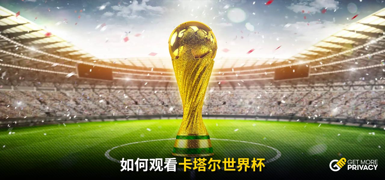 在球迷的热