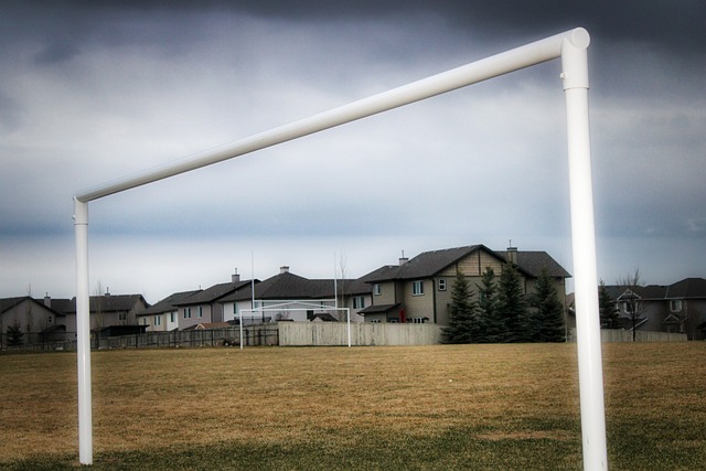 作为联盟中 作为联盟中