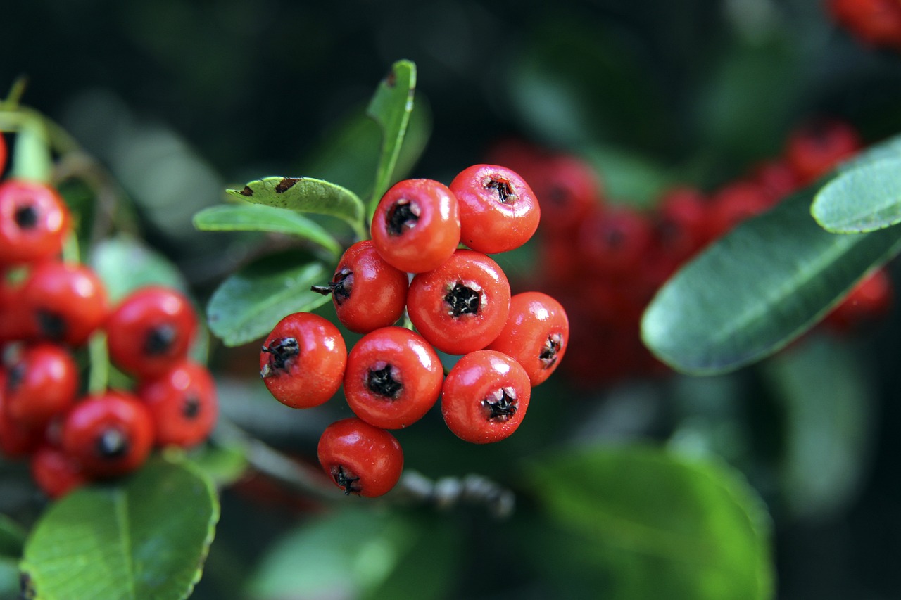 弗格砍下42分7籃板 趙繼偉貢獻15分11助攻 傑克遜拿下43分7籃板 遼寧逆轉戰勝江蘇結束對手11連敗.