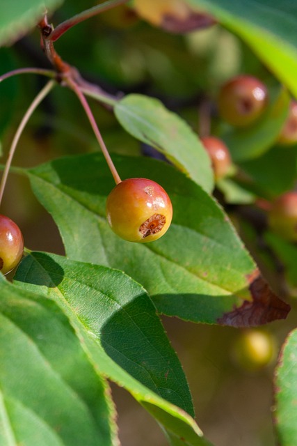 国足提供了 国足提供了
