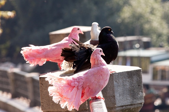 队造成显著 队造成显著