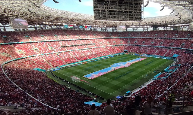 在这场激动 在这场激动